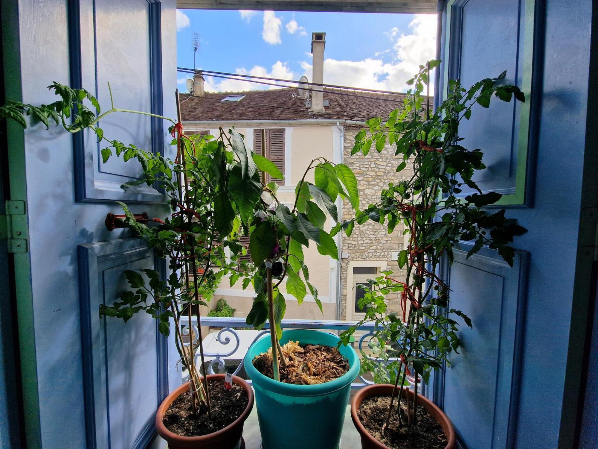 Ferienwohnung Chez Mamichou Moret-sur-Loing Exterior foto